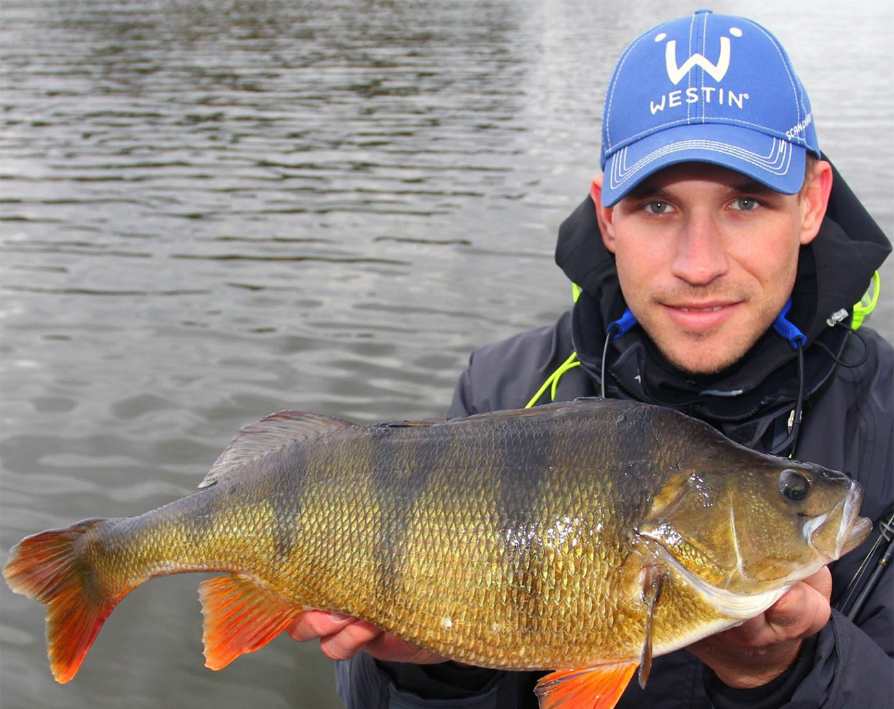 Westin W6 StreetStick 8'1''/243cm MH 5-15g 2sec